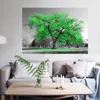 Gelber Baum, Schwarz-Weiß-Bilder, moderne Landschaftsmalerei für Wohnzimmer, Dekoration, Leinwand, Poster und Drucke