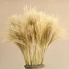 Decorative Flowers & Wreaths 50pcs Real Dried Small Pampas Grass Wedding Flower Bunch Natural Plants Decor Home Phragmites231j