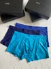 Designer merk boxershort heren ondergoed 100% katoen ademend 3 stuks doos sexy gladde stof borduren kleuren rando225o