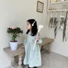 Printemps 2021 coton fleur broderie à manches longues princesse robes filles vert clair style long robe 1-5Y Q0716