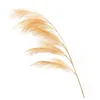 Decorative Flowers & Wreaths Fake Plants Simulation Flower Reed Pampas Grass Aritficial Feathers Wedding Arch Wall Decor Fabric Snags Cortad