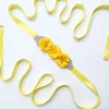 Katı Renk El Yapımı Boncuk Çiçek Kanat Butik Oval Rhinestone Annelik Kemer Nedime Elbise Kemer Yıldönümü Hediyeler