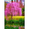 Autres Fournitures Patio Pelouse 10 Pcs Mixte Japonais Bonsaï Graines Pleureur Cerisier Diy Maison Jardin Nain Sakura Belle