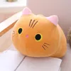 Haute qualité Amour gros chat en peluche poupée douce mignonne grand visage chatte ragdoll pour enfants apaisant cylindrique souple coton oreiller cadeau d'anniversaire