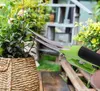 芝生のパティオ多機能園の剪断鋏フルーツピッキングはさみのトリム家庭用鉢植えの枝小さいDAF246