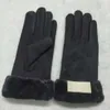 Nuovo guanto di stile di pelliccia di marca per le donne inverno all'aperto caldo cinque dita in pelle artificiale guanti in pelle all'ingrosso