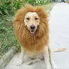 Kedi kostümleri sevimli evcil hayvan partisi cosplay kıyafetleri kostüm aslan yele kış sıcak peruk büyük köpek kulakları başlık