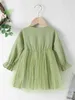 Baby Flounce Sleeve Mesh Hem Dress SHE