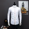 Camisas masculinas de manga comprida camisas de vestido de algodão camisa masculina plus size fino ajuste chemise homme 001233x