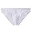 Underpants See Through Lace Brief Men Transparent Underwear Hollow Out Panties Male Breathable Underpant Gay Low Waist Sheer G-Str305Q