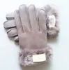 2021 New Brand Design Faux Fur Style Glove for Women Winter Outdoor Warm Five Fingers Artificial Leather Gloves Wholesale 33