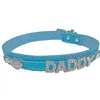 Daddy Dom DDLG/ ABDL Lederhalsband