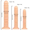 NXY Cockrings Anal sex toys 5 Style Jelly Dildo Avec Ventouse Énormes Godes pour Femme Hommes Fake Dick Butt Plug Erotic Shop 1123 1124