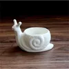 1 PC Caracol dos desenhos animados Plantador cerâmico para suculentas Plantas Sucultas de Área de Estimação Decorativa Mini Flor Pot Jardim Decoração Y200709