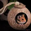 Małe Dostawy Zwierząt Naturalne Zwierząt Kokosowe Klatki Klatka Dla Chomiku Gwinea Świnia Myszy Wiewiórka Drewniany Dom Szczur gryzoni gniazdo