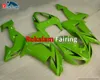 Green fairings For Kawasaki Ninja ZX10R ZX 10R Custom Motobike Body Cover 2006 2007 ABS Fairing Kit (Injection Molding)