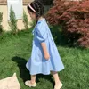 Summer Girls Dress Korean Style Cotton Sweet Lace Bubble Sleeve Flower Embroidery Baby Kids Clothes Children'S Clothing 210625