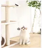 Interactive Pet Electric Yoyo Cat Scratcher Fishing Cats Dog Play Ball Toy