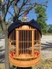 Fågelburar Handgjorda Thrush Cage Diameter 32/34/36/38 / 40cm Boutique Fulltillbehör House Starling Quality Bamboo Bird's Nest