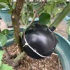 Drewnianie powietrza Uprawa ogrodowa Trwałe Pudełko Rozszczepianie Wysokiego Propagacji Ciśnienia Ball Indoor Outdoor ABS General Rooting Device Planters