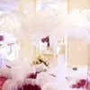 100 adet / grup Parti Dekor Doğal Beyaz Devekuşu Tüyler 20-25 cm Renkli Tüy Dekorasyon Düğün Plumage Dekoratif Kutlama