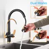 Black Gold Filter KitchenFaucets Pure Water Rotatable Dual Spout Kitchen Faucet Dual Handles Filtered Mixer Tap For Kitchen 211108