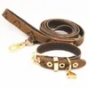 Echtleder-Halsband-Leine-Set, hochwertiges Design, 7-Farben-Muster, kleiner und mittelgroßer Hund, Teddy, Chihuahua, französische Bulldogge, Heimtierbedarf