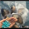 2018 Diy Freshwater Twins Pearls In Oysters 25 Colors Pearls Oyster With Vacuum-Packing Luxury Jewelry Birthday Gift For Women Yzms5