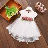 LILIGIRL 2 Jahre Baby Mädchen Floral Vestidos Kleid Neugeborene Kinder Blume Hochzeit Prinzessin Kleider für Mädchen Elegante Party Kleidung 210303