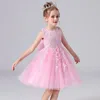 Biały Wedding Birthday Gown Koronki Tutu Princess Sukienka Kwiatowy Haft Dziewczyny Dzieci Odzież Dla Dzieci Dla Dzieci Ubrania Q0716