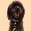 Pet Cat Dog Collar مريح تسامي ملون قابل للتعديل من طوق الحيوانات الأليفة مصمم الطباعة البوهيمي البريطاني على الطراز البريطاني 10 CO5797728