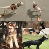 Collars Dog Collars Training Tactical Smycz 2 Uchwyt Szybka Release Bungee Pet Elastyczne prowadzi Liny Produkty wojskowe