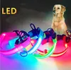 Accueil 8 couleurs 4 tailles sécurité nocturne lumière LED clignotants Glow Nylon collier de chien de compagnie petits animaux moyens laisse chiens colliers clignotant sécurités CollarZC485