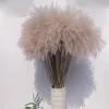 Decorative Flowers & Wreaths 50pcs Real Dried Small Pampas Grass Wedding Flower Bunch Natural Plants Decor Home Phragmites231j