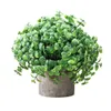3 sztuk Zestaw Mini Doniczkowe Sztuczne Rośliny Eukaliptusowe Liście Kwiatowe Pot Dekoracyjne Dla Kryty Office Decor Dekoruje Dom Ogród Fałszywy Zieleń
