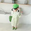 Großhandel koreanische stil frühling mädchen kleid apfel spitze kragen puff sleeves prinzessin kleider kinder kleidung e3028 210610