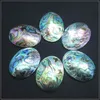 3 ADET Doğal Deniz Abalone Kabuk Cabochons Oval Şekil 30x40mm Charms Kolye Yapımları Için Doğa Gevşek Boncuk Aksesuarları DIY