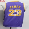 2021 Top Quality Men Youth kids Basketball Dwyane 3 Wade 32 Johnson Jerseys Purple Yellow White Black Stitched Wholesale