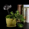 Équipements d'arrosage Abreuvoir pour plantes Globe en verre transparent soufflé à la main pour plantes d'intérieur en pot