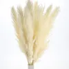 Roseau naturel en herbe des marais 80cm, fleur séchée pour mariage, grande cérémonie, décoration de maison moderne, saint-valentin, expédition rapide