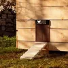 Kedi Taşıyıcılar Kasaları Evler Otomatik Pet Tavuk Kooperti Kapısı Açıcı Işık Hassas Manyetik Ev Yumurtaları Otomatik Guard Coopdoor NI241F