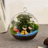 Держатели 12шт 6/8 см висящие держатели Tealight Glass Globes Terrarium Свадебная подсвечника подсвечника ваза дома.