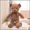 Nadziewane Pluszowe Zwierząt Zabawki Prezenty Little Bear Cartoon Dolls Kawaii Zwierząt Lalki Dzieci Zabawki Boże Narodzenie 35 CM 10 Kolory Z5650 Drop Dostawa 2021 W