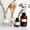 2pcs/lot Lab Supplies Clear Glass Vase Small Brown Bottle Flower Nordic Decoration Home Dried Hydroponic Terrarium Decor