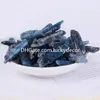 1000 g de pierres en vrac de cyanite bleue naturelle brute de 20 à 50 mm, spécimen minéral de roche brute, cristal Reiki à haute énergie utilisé pour la méditation et la tranquillité