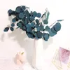 Bouquet de feuilles d'eucalyptus naturelles préservées, fleurs séchées immortelles pour décoration de mariage, exposition de fleurs, décoration de la maison, 204a