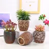 Un ensemble de pots de fleurs en céramique, plantes succulentes, vase créatif, bureau, ornements de bureau, support charnu, décoration de jardin, Y200709