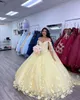 Strap Hellblau Quinceanera Kleider 2022 für Sweet 15 Party Mode 3D Blume Spitze Applikation Luxus Prinzessin Geburtstagskleider Quince203V