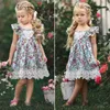 Nieuwe bloem kant prinses jurk baby meisjes mouwloze bloemen tule party trouwjurken kinderen zomerjurk voor meisjes q0716