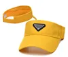 sunshade visor